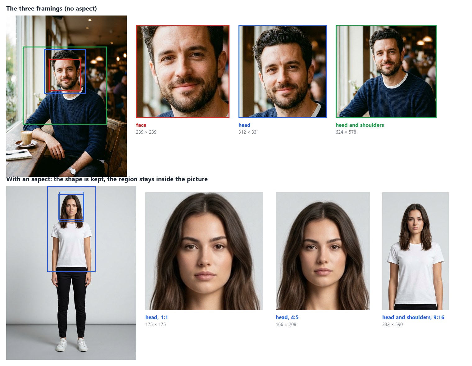 Top: the café portrait with three rectangles — face, head, head and shoulders — and the three crops they give, 239 × 239, 312 × 331 and 624 × 578. Bottom: a full-length shot of a model, 896 × 1200, cut around her face in three formats — head 1, 175 × 175; head 4, 166 × 208; head and shoulders 9, 332 × 590 — every crop inside the picture.