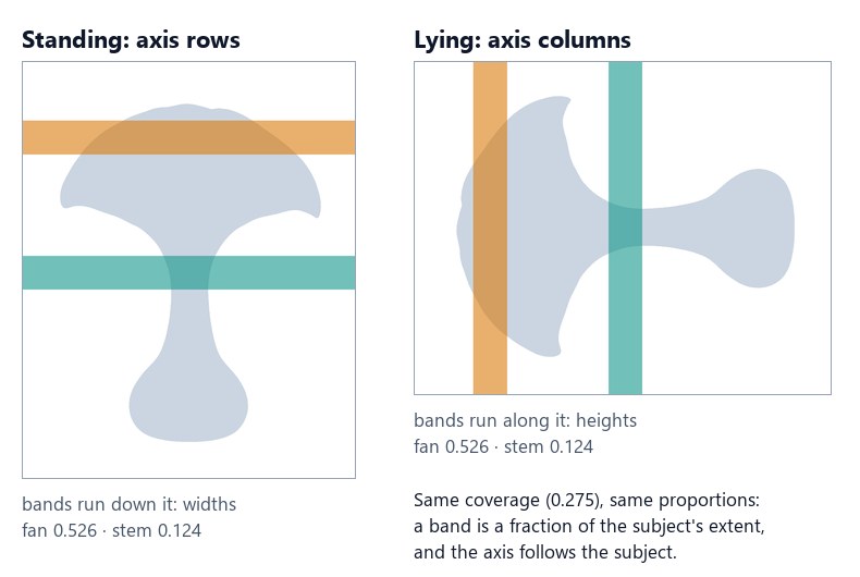 The same vase measured twice. Standing, axis rows: two horizontal bands, the fan 0.526 and the stem 0.124. Lying on its side, axis columns: the same two bands now run vertically, and give the same numbers, 0.526 and 0.124, with the same coverage, 0.275.