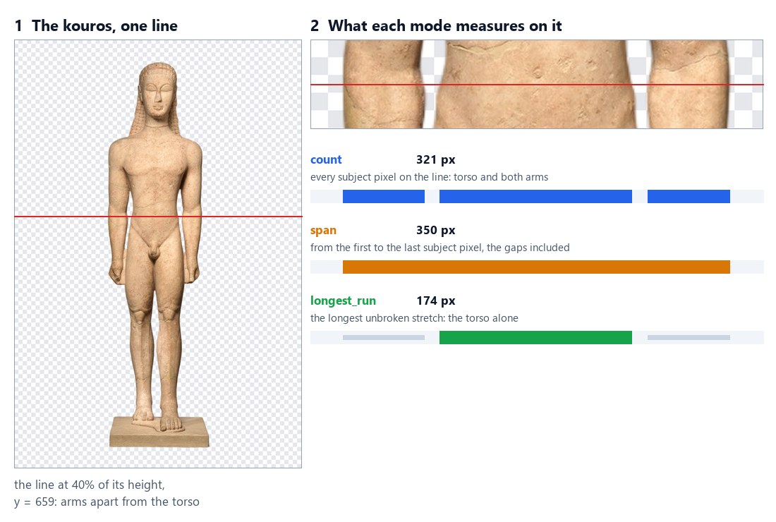 The kouros, a Greek marble statue, cut out, with a red line at 40% of its height, where the arms hang apart from the torso. Enlarged, the same line and what each mode measures on it: count, 321 px, every subject pixel on the line, the torso and both arms, three blue pieces; span, 350 px, from the first to the last subject pixel, the gaps included, one orange bar; longest_run, 174 px, the longest unbroken stretch, the torso alone, one green bar, the arms left out.