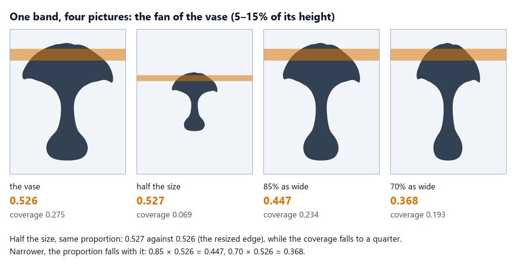 The fan of the vase, the band from 5 to 15% of its height, measured on four pictures. The vase: 0.526, coverage 0.275. The same vase at half the size: 0.527, coverage 0.069 — a quarter of the frame, the same proportion. 85% as wide: 0.447. 70% as wide: 0.368 — the proportion falls exactly with the width.